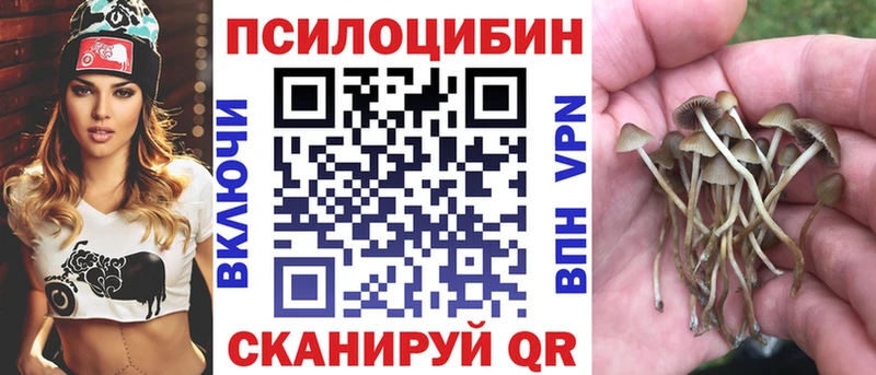 Купить где  Каменск-Шахтинский  Галлюциногенные грибы Cubensis 